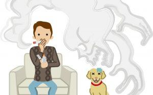 未来三种情形下警惕黄金大跌|亚博APP