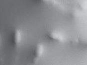 bolsa cabeza alexis ravelo