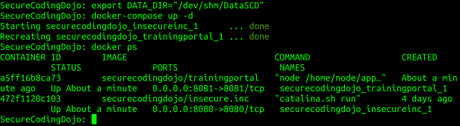 Practica Desarrollo Seguro con OWASP Secure Coding Dojo.