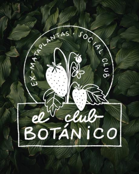 Riego para balcón sin grifo y sin enchufe: el paso a paso