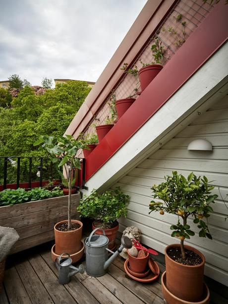 delikatissen white decor scandinavian decor plantas de interior nordic interiors minihuerto en casa interiors with flowers and plants flower decor estilo nórdico decorar con macetas decoración nórdica decoración en blanco decoracion con plantas decoración blanca cozy decor charming decor  