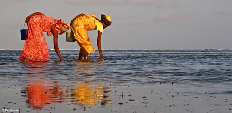 DÍA MUNDIAL DE LOS OCÉANOS-8 DE JUNIO Women and Oceans was one of the winners in the Photo Competition. Author: Des Bowden.