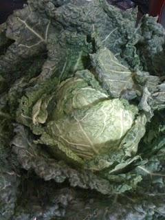 Col con setas y calabacitas