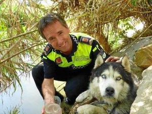 Alerta de seguridad para el rescate de un perro 'husky'.