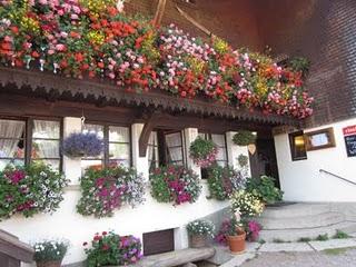 FLORES EN LA SELVA NEGRA