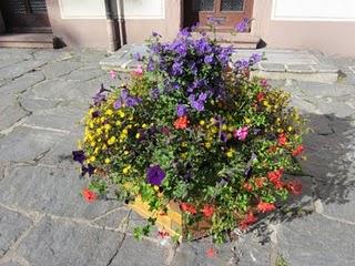 FLORES EN LA SELVA NEGRA