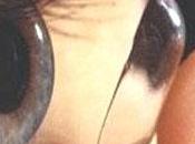 Cómo fabrican lentillas