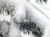 Días nieve