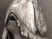 Four FabricLive Promo