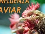 Posible Pandemia Gripe Aviar Nueva Cepa H5N1