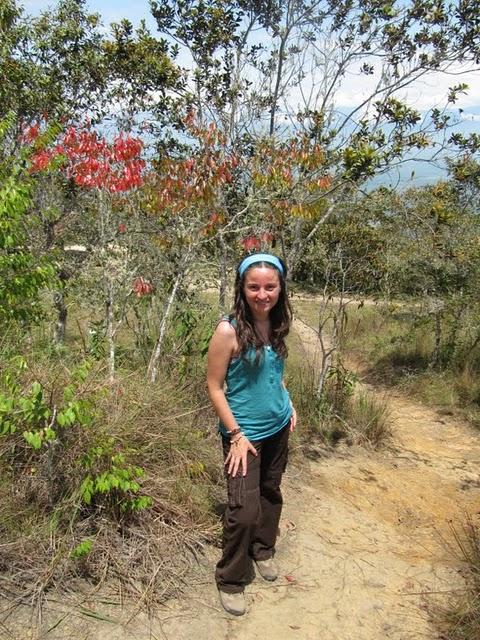 TREKKING EN LA SELVA II: HACIA LA CIMA DEL MORRO DE CALZADA