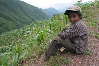 No queremos regalos, sólo lo que corresponde al productor rural:CCCD