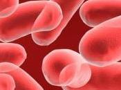 Nuevo estudio revela partes fundamentales genoma bacteriano