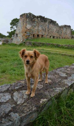 El Ávila y sus fortines