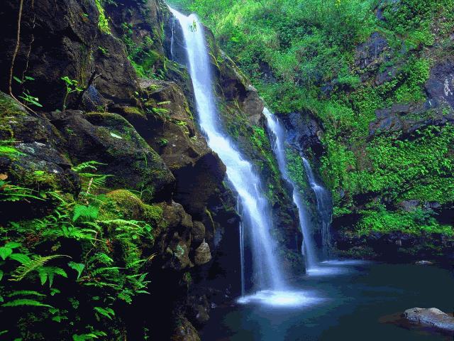 Afirmaciones para la salud