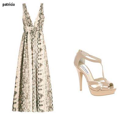 ¿Cómo me lo pongo?: Reptiles