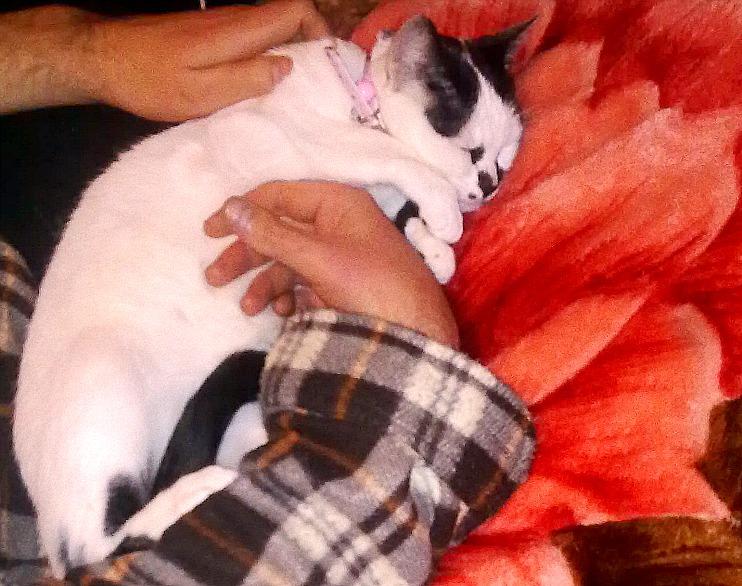 LA FAMILIA AUMENTA DE FORMA OFICIAL...