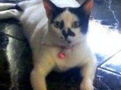 familia aumenta forma oficial...