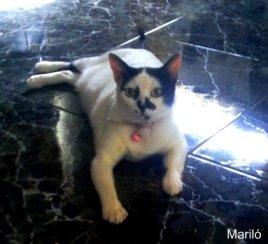 LA FAMILIA AUMENTA DE FORMA OFICIAL...