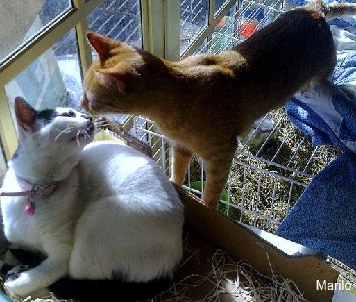 LA FAMILIA AUMENTA DE FORMA OFICIAL...