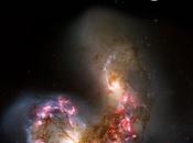 Amazings, revista estabas esperando