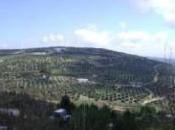 Cerros Úbeda