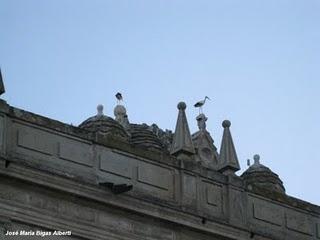 De Zamora a Gijón, por el Puerto de San Isidro