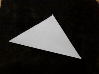 Oreja de Conejo Oreja de Conejo