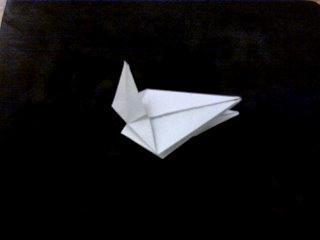 Cambiar de Direccion...