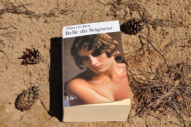 Belle du Seigneur - Love Beyond.