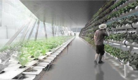 Las granjas del futuro