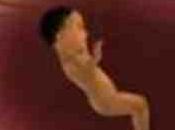 Embarazo Beyoncé, dibujos animados