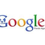 La aparente contradicción del algoritmo de Panda de Google