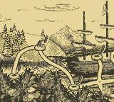 Donkey Kong Land (1995)