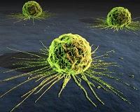 Prueban Nueva Terapia Viral contra el Cancer