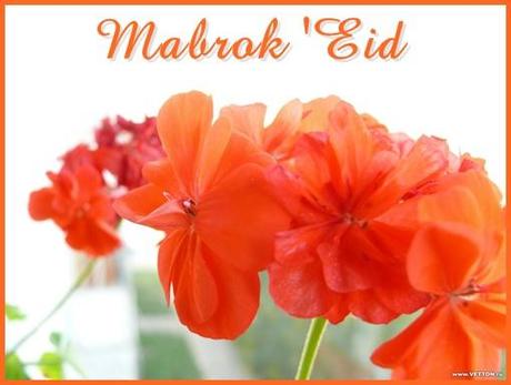 Ya estoy de vuelta ¡Mabrok 'Eid a todas!