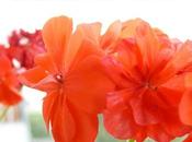 estoy vuelta ¡Mabrok 'Eid todas!