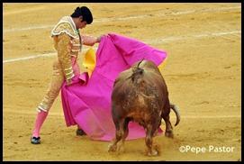 DSC_0095 DSC_0095