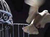 COMUNICARSE "DEJAME RESPIRAR". Ferran Ramon-Cortés. Conversaciones