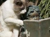 acertijo lunes Solución!