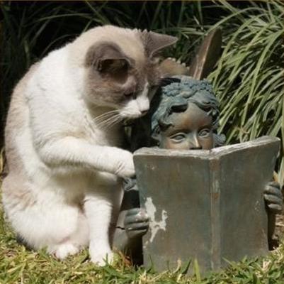 El acertijo de lunes – Solución!