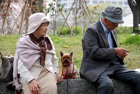 ¿Por qué la esperanza de vida en Japón es la más elevada?