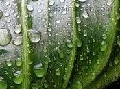 Algunos poemas taller blog para semana