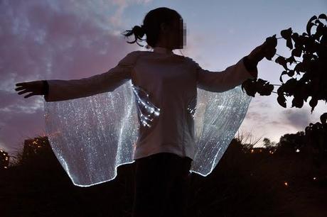 Like a Firefly Like a Firefly