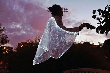 Like a Firefly Like a Firefly