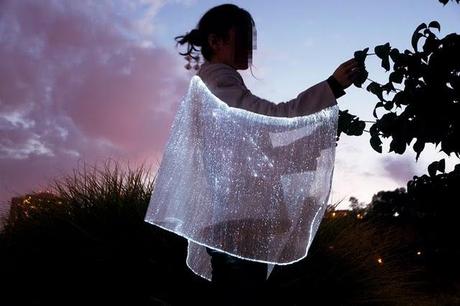 Like a Firefly Like a Firefly