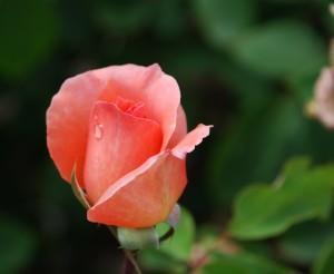 LA MAGIA DE UN SIMPLE GUIÑO!