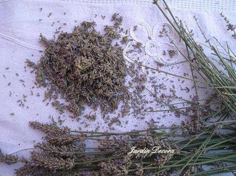 Saquitos de Lavanda