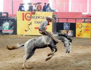 Tamariz “A”, 430 en el Excelencia