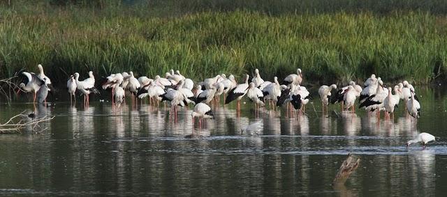 SALBURUA-VITORIA-ALAVA Y EL RASCÓN